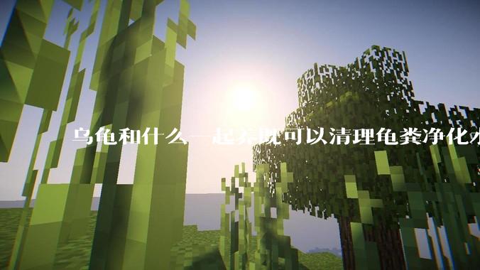 乌龟和什么一起养既可以清理龟粪净化水质又可以当龟食物？