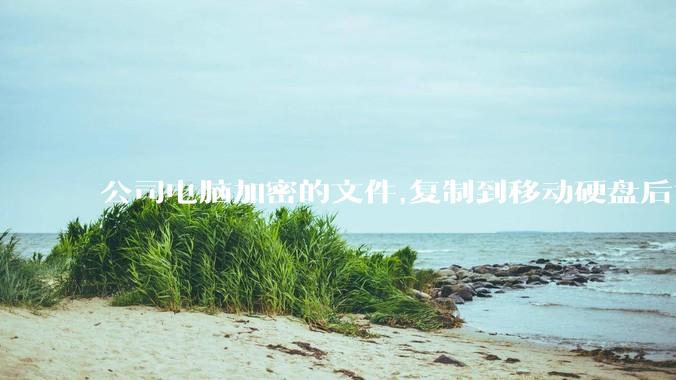 公司电脑加密的文件,复制到移动硬盘后如何解密?