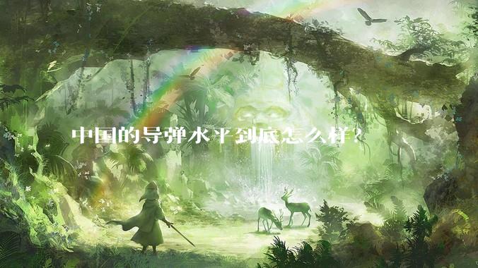 中国的导弹水平到底怎么样？