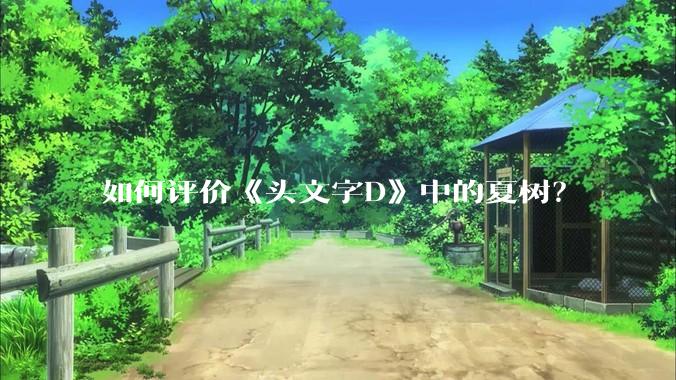 如何评价《头文字D》中的夏树？