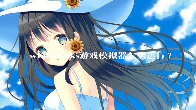 winkawaks游戏模拟器怎么运行?